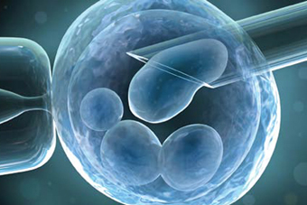 Fertility Research at the Weizmann Institute