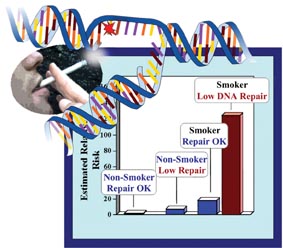 Risk for lung cancer according to Livneh's research