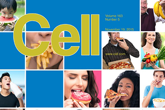 Blood Sugar Levels in Response to Foods Are Highly Individual