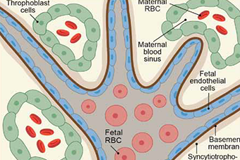 Science Tips, September 2014