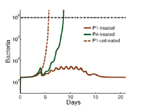 Weizmann Institute's Mathematical Mode lMay Lead to Safer Chemotherapy