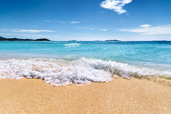 What Gives the Beach That Smell? Sulfur-Making Algae