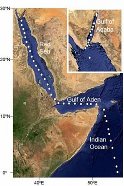 Ocean acidification