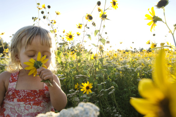 Researchers Discover ‘White Noise' of Smell, ‘Olfactory White'  Read more: http://newsfeed.time.com/2012/11/23/researchers-discover-white-noise-of-smell-olfactory-white/#ixzz2DMNikCfQ