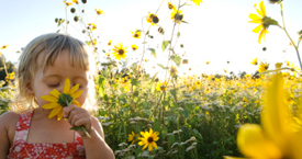 Researchers Discover ""White Noise"" of Smell, ""Olfactory White""