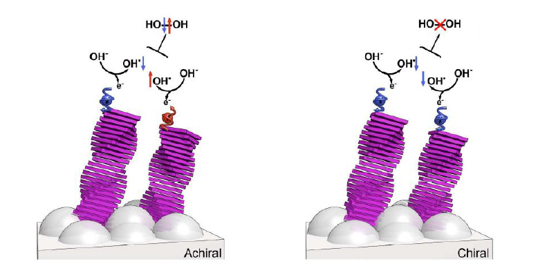 Controlling Electron Spin for Efficient Water Splitting