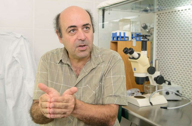 Prof. Avi Levy