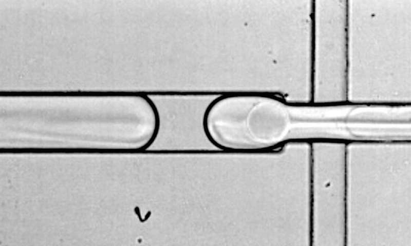 Human Cell Atlas Hopes to Unravel Mysteries Hidden in Our Genes