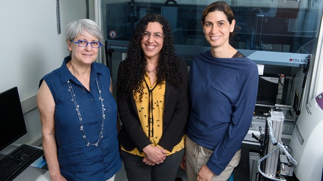 Dr. Bat Shahar Dorfman, Dr. Orna Dahan and Prof. Anat Yarden