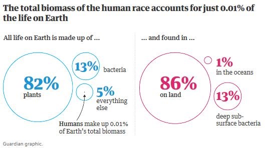 biomass