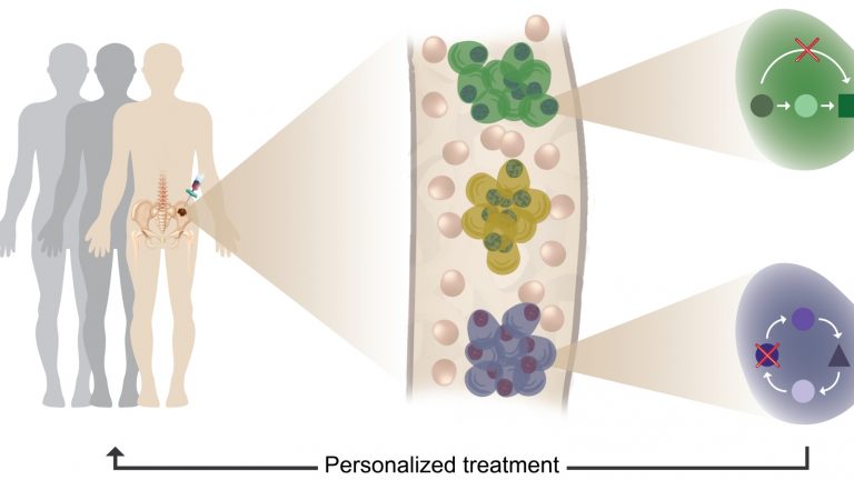 Machine Learning IDs Blood-Cancer Cells Earlier Than Ever