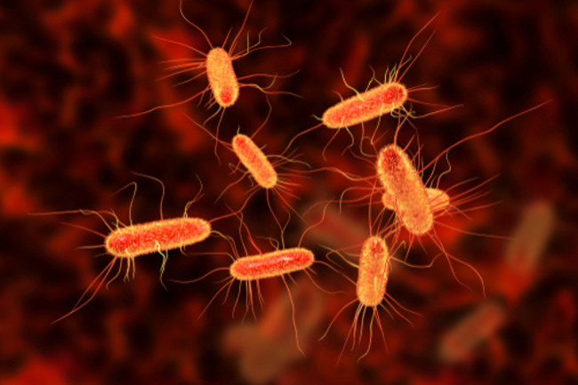 Scientists Just Created a Bacteria That Eats CO<sub>2</sub> to Reduce Greenhouse Gases