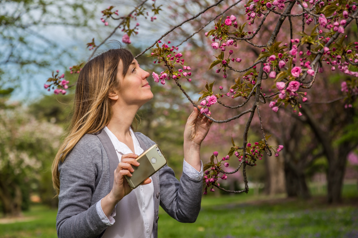 Digitizing Odors: Israelis Whiff the Future With ‘Smellophone’ Tech Breakthrough