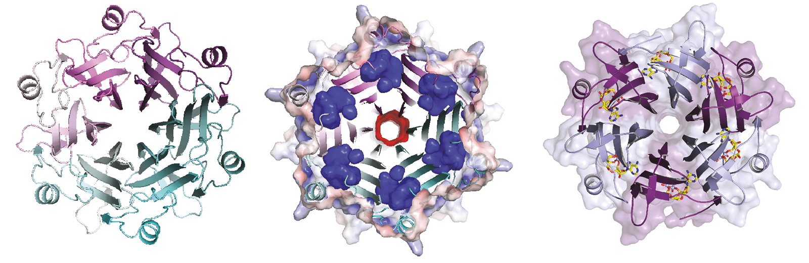 Phage’S Deep Pockets 2