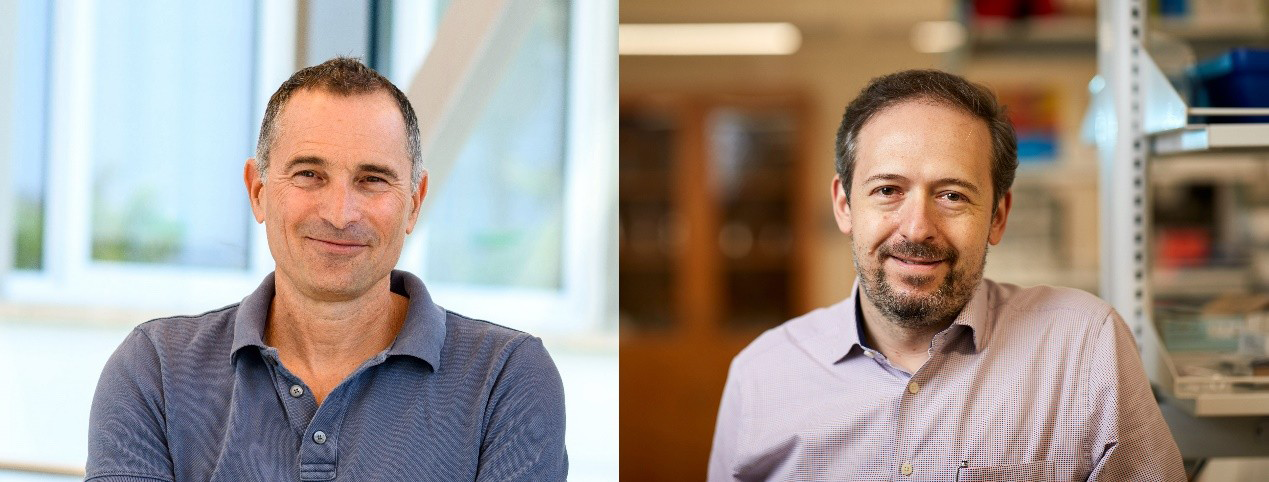 From Cancer To Alzheimers