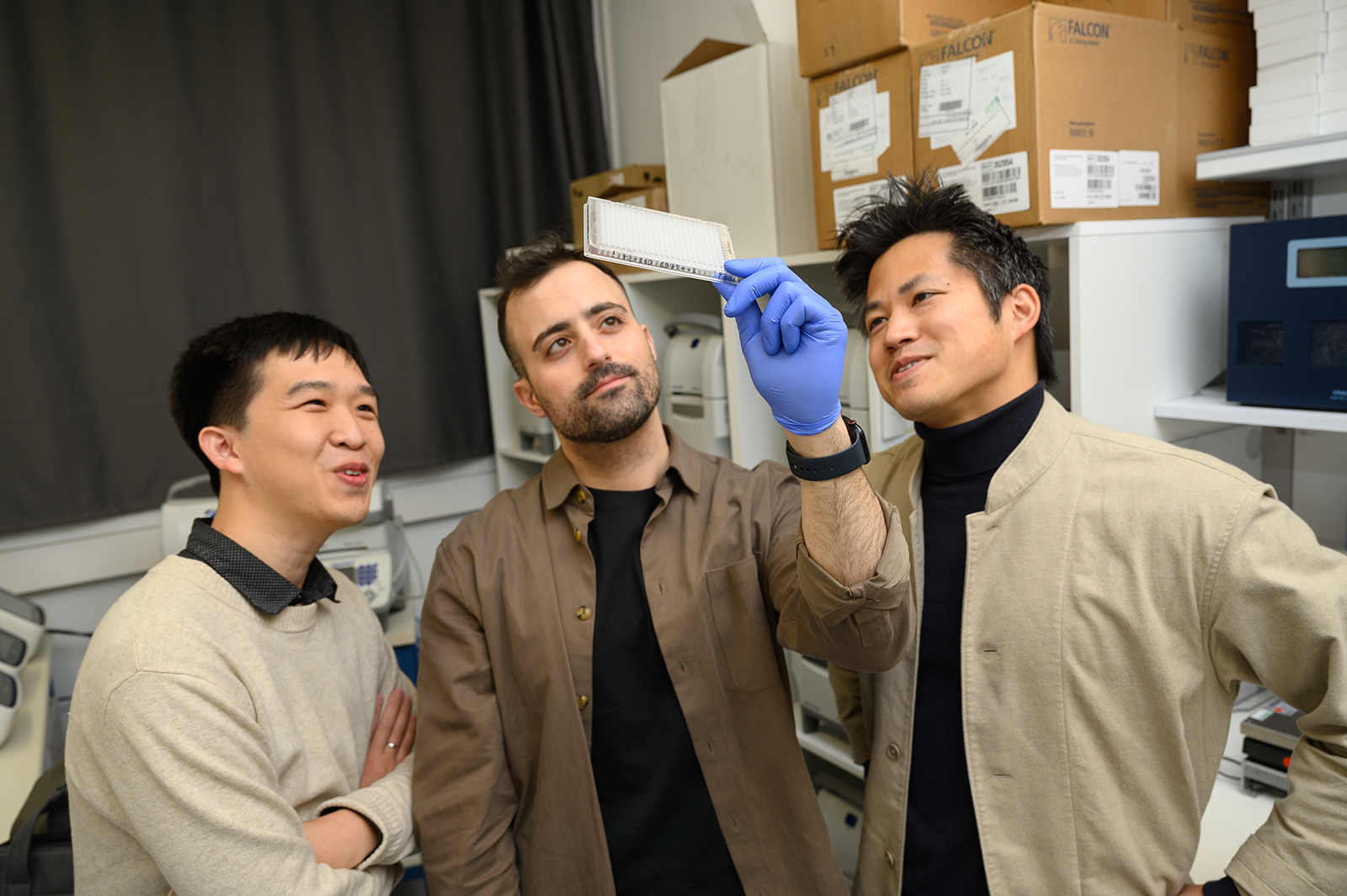 The Master Switch That Can Turn Immune Cells Into Cancer Eradicators 1