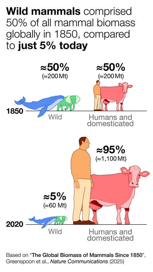 Humanity Rises As Wildlife Recedes 4