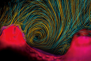 Blog 47 Coral Microfluidics