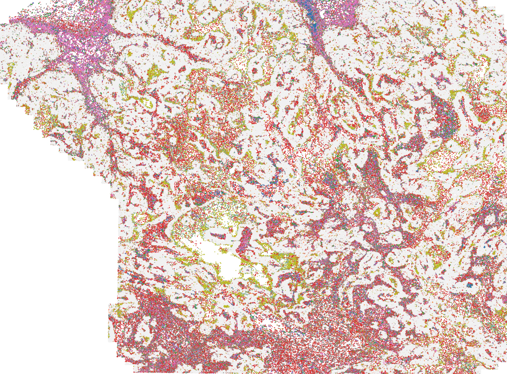 Turning The Tumors Shield Into A Sword 3