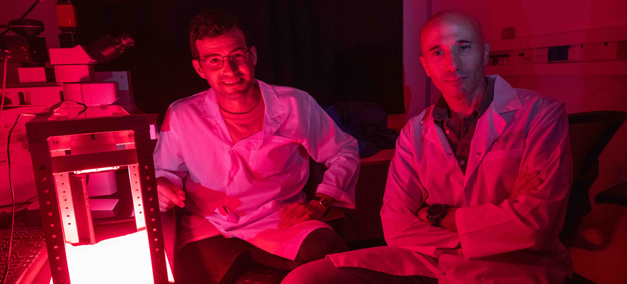 2025 12 ACWIS Enewsletter Header